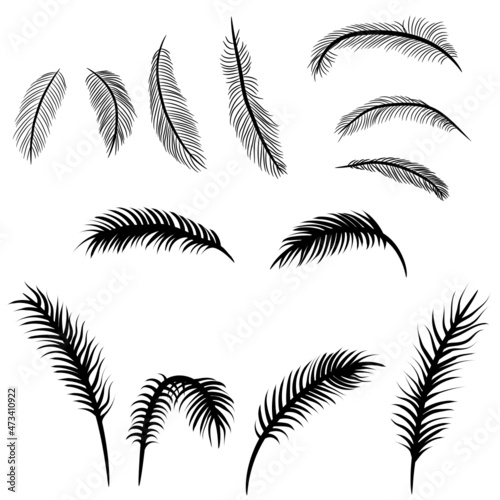 set of palm leaves svg vector illustration