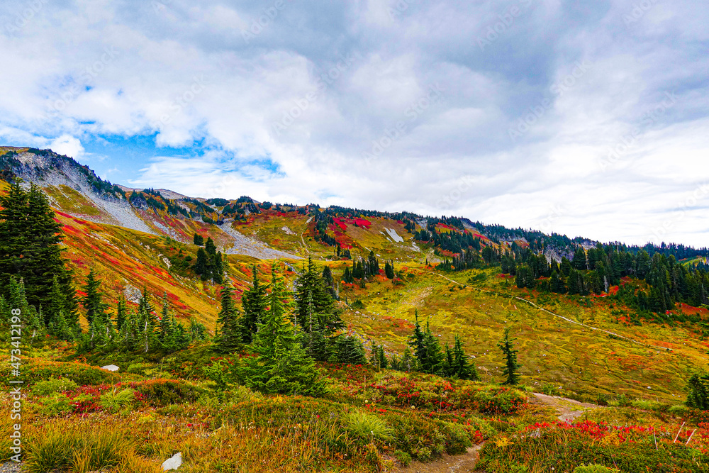 Mount Rainier Washington - autumn/fall colors