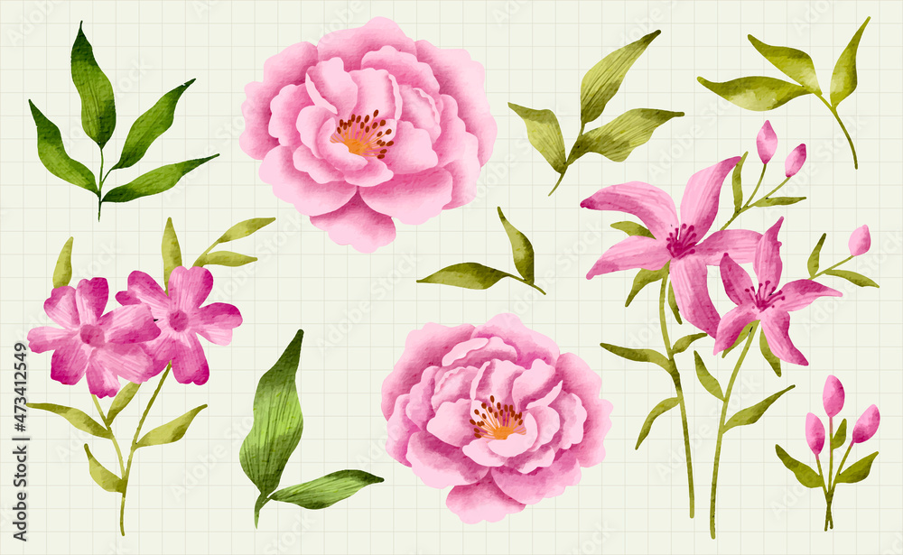 Set of isolated flower leaves floral Watercolor Hand drawn pink roses