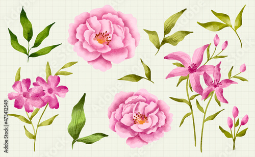 Set of isolated flower leaves floral Watercolor Hand drawn pink roses