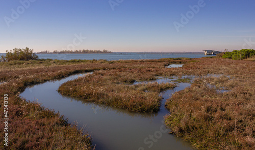 Autumn landscape of the Venetian lagoon. Swamp with brackish water and brown withered plants. Porto Caleri  Italy