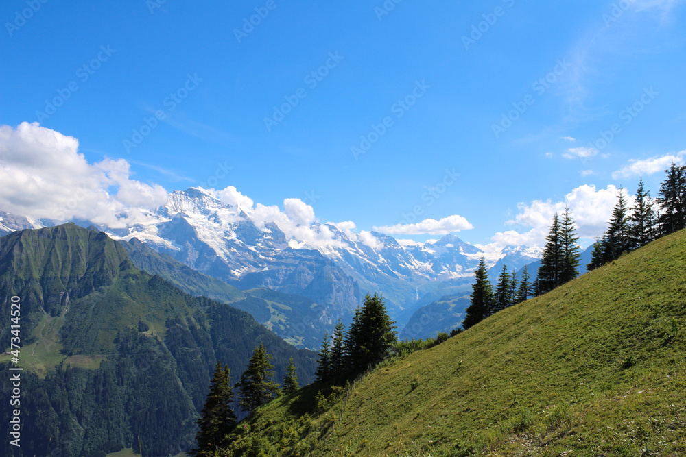 Alpenlandschaft Schynige Platte, Schweiz