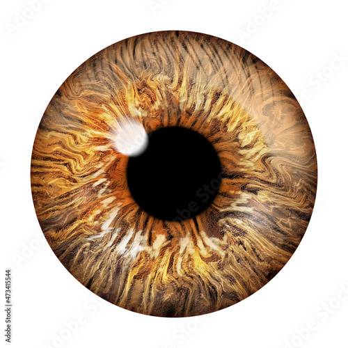 Realistic image of an eye. Iris, cornea, retina with luminous flash. Light brown and yellow eye. 3d illustration.