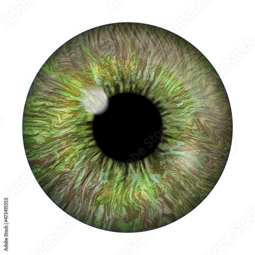 Realistic image of an eye. Iris, cornea, retina with luminous flash. Green eye. 3d illustration
