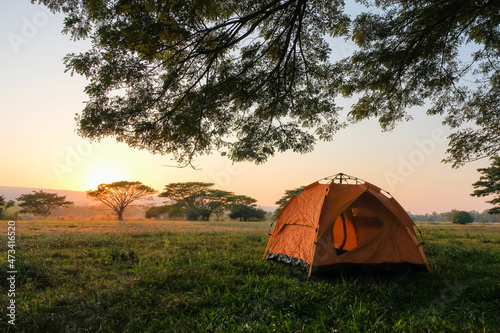 orange tent at a tourist campsite stands under bush near open grass field in the morning sunrise.