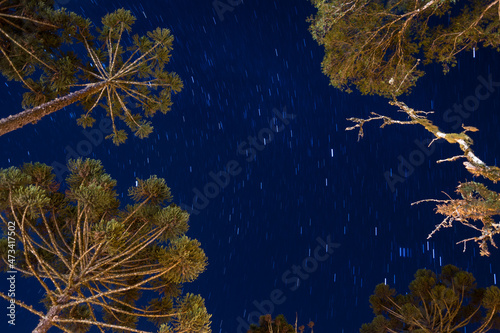 View of a beautiful starry sky at Canela - Canela, Rio Grande do Sul, Brazil