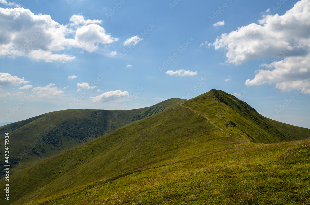 Borzhava mountain range with steep slopes overgrown with blueberry bushes under a blue sky with clouds on a sunny summer day. Carpathian Mountains, Ukraine