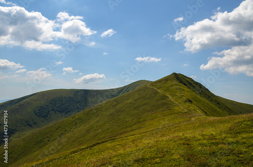 Borzhava mountain range with steep slopes overgrown with blueberry bushes under a blue sky with clouds on a sunny summer day. Carpathian Mountains, Ukraine © Dmytro