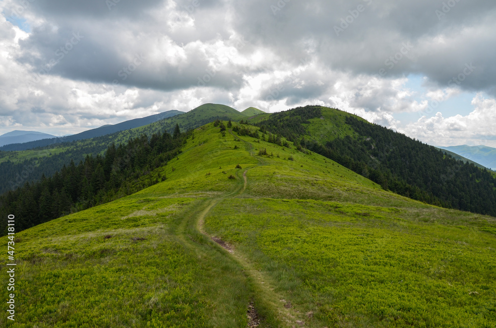 Mountain path through green grassy mountain ridge winding up in to the distant mountain peak under cloudy sky. Trekking in Carpathian Mountains Mountain path through green grassy mountain ridge winding up in to the distant mountain peak under cloudy sky. Trekking in Carpathian Mountains