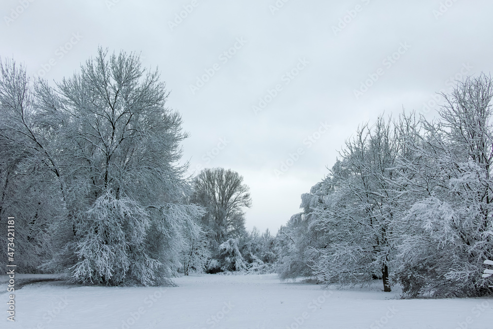 Winter landscape of South Park in city of Sofia, Bulgaria Winter landscape of South Park in city of Sofia, Bulgaria