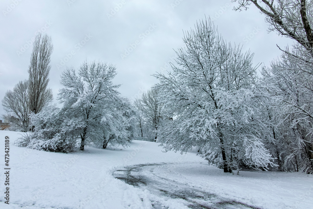 Winter landscape of South Park in city of Sofia, Bulgaria