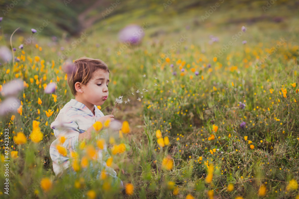 Young boy blowing a dandelion on a field of wild flowers. Young boy blowing a dandelion on a field of wild flowers.