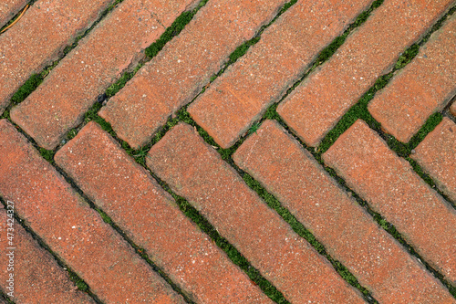 Sidewalk laying. Grunge brick background with moss. Brickwork vintage background. Rustic brick texture.