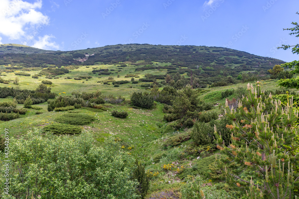 Landscape of Rila mountain near Belmeken Dam, Bulgaria