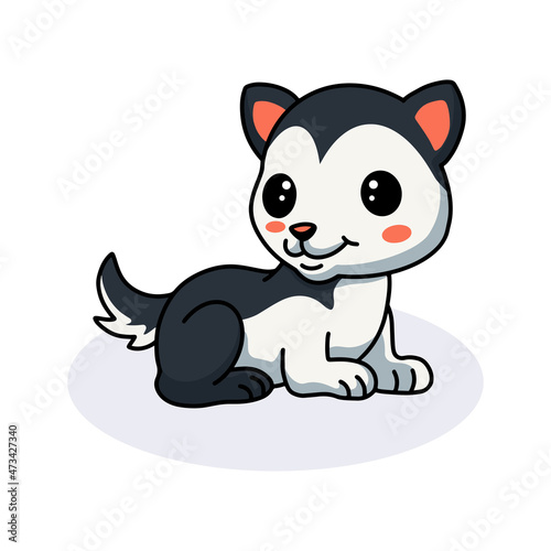 Cute little husky dog cartoon