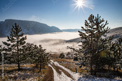 amazing winter landscape with fog and frosty trees in  Romania photo