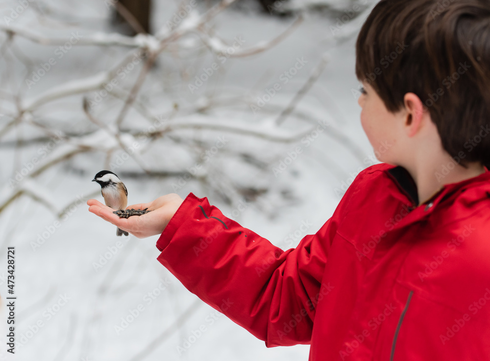 Cute boy in red coat feeding bird from his hand on snowy winter day. Cute boy in red coat feeding bird from his hand on snowy winter day.