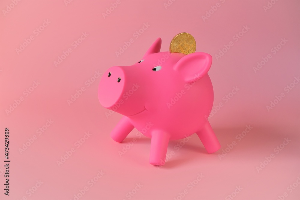Pig piggy bank and bitcoin.Cryptocurrency storage and accumulation. Savings in bitcoins. gold bitcoin coin into pink pig piggy bank.