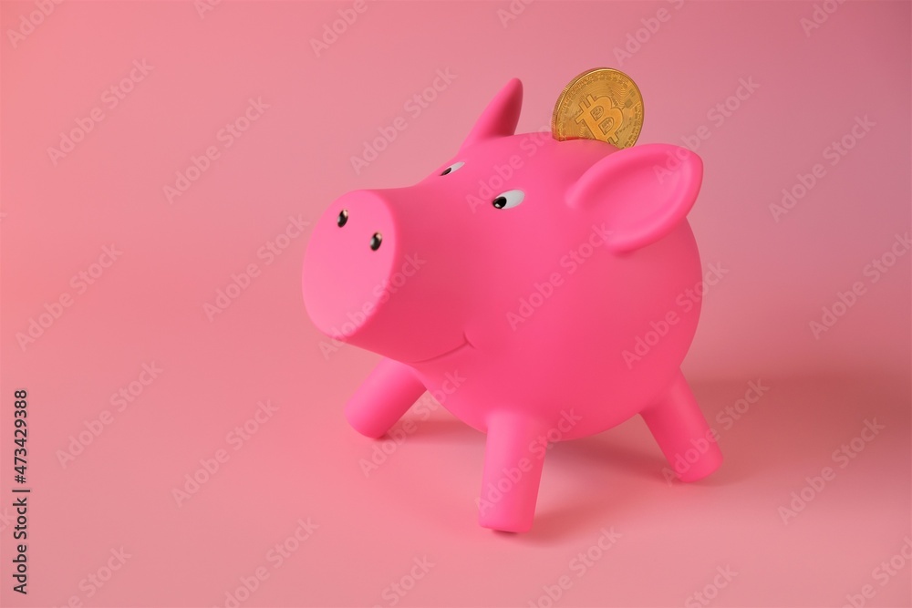 Pig piggy bank and bitcoin.Cryptocurrency storage and accumulation.