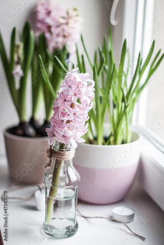 A flowerpot with bulbous hyacinths and muscari, candle and twine