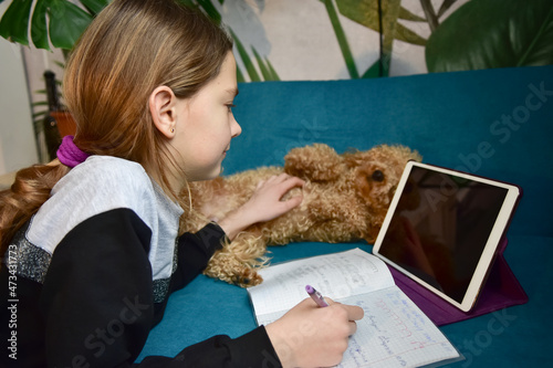 The dog distracts the girl from the distance learning lessons