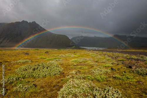 rainbow over meadow in south Iceland photo