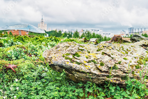 Stone covered with moss and lichen against a view of Moscow in Zaryadye Park, a natural landscape in the city