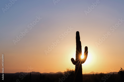 Silhouette of saguaro cactus with sun flare in Phoenix Arizona photo