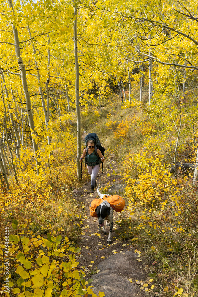 Woman hiking in forest with dog during vacation Woman hiking in forest with dog during vacation