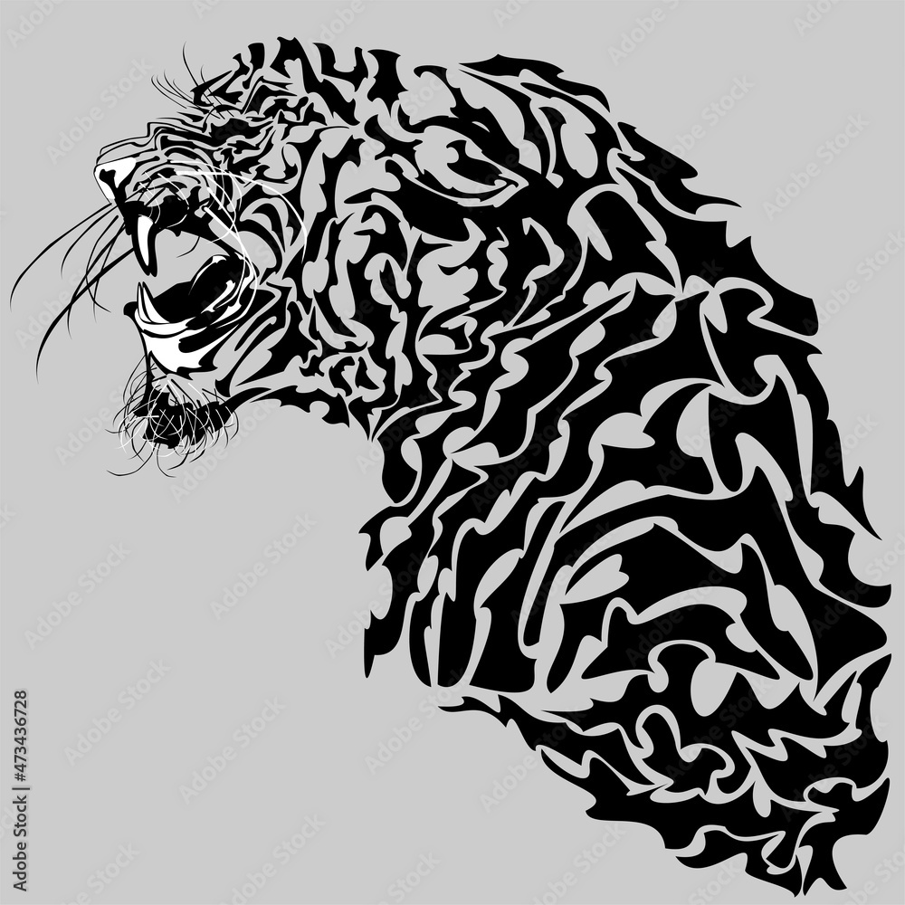 Tiger turning head roaring showing fangs in open mouth Tiger turning head roaring showing fangs in open mouth
