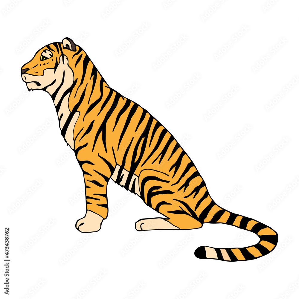 Naklejka premium Vector hand drawn doodle sketch colored tiger isolated on white background