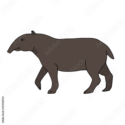 Vector hand drawn doodle sketch colored tapir isolated on white background