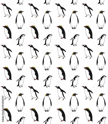Vector seamless pattern of hand drawn doodle sketch colored penguin isolated on white background