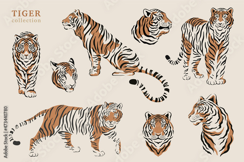 Set of silhouette tiger illustrations. Collection of symbols 2022. Chinese zodiac symbols of modern style and trendy colors. Vector tigers for greeting cards and happy new year posters.