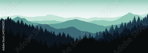  Mountain landscape and pine forest at dawn.