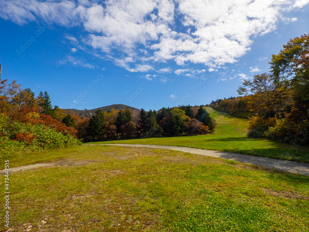 Autumnal mountains on a sunny day (Zao, Yamagata, Japan) Autumnal mountains on a sunny day (Zao, Yamagata, Japan)
