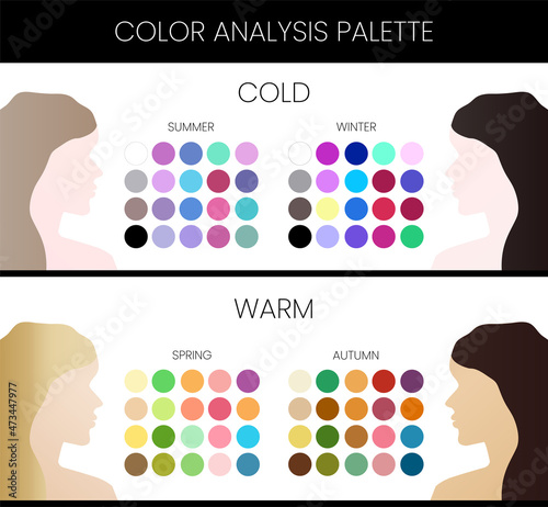 Seasonal Color Analysis Chart for Image Consultants with Winter, Summer, Spring and Autumn Types