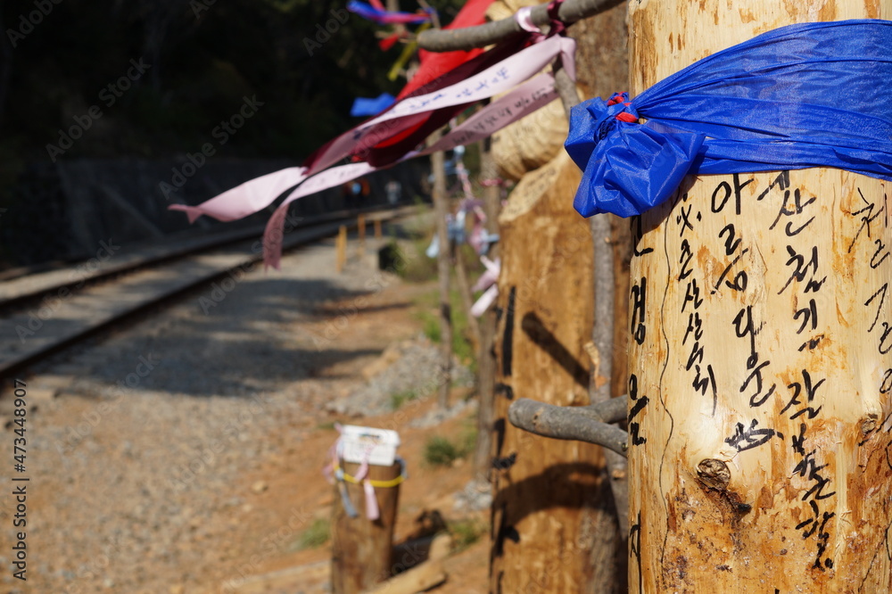 Obraz premium 벗꽃, 벚꽃, 나무, 식물, 꽃, 화분, 장독, 시골, 공원, 꽃길, 철길, 철도, 건널목, 도로, 기차, 열차,