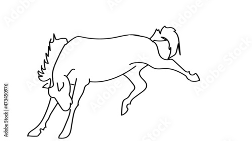 bucking horse outline