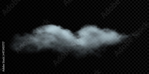 Vector cloud on a transparent background, smoke. Gradient mesh. 