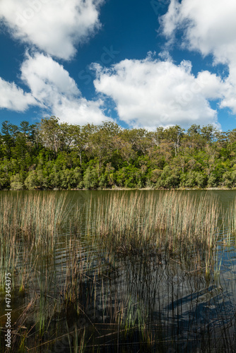 Lake Allom, K'Gari/Fraser Island photo