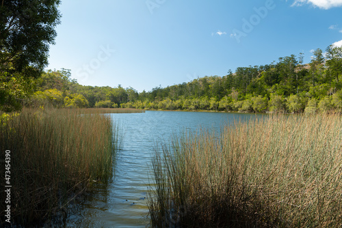 Lake Allom, K'Gari/Fraser Island