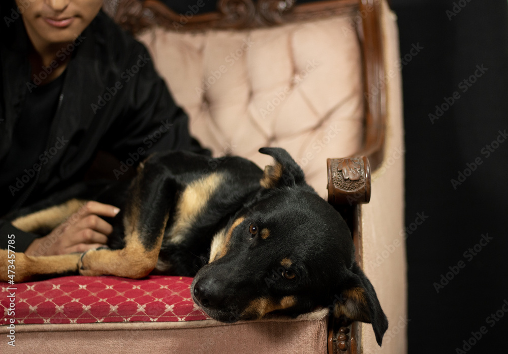 cute black dog sitting on the couch with his human having a nice time, the doggie has a happy face cute black dog sitting on the couch with his human having a nice time, the doggie has a happy face
