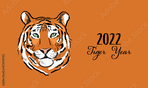 Tiger, animal character. Symbol of 2022 New Year. Design Template for Christm...