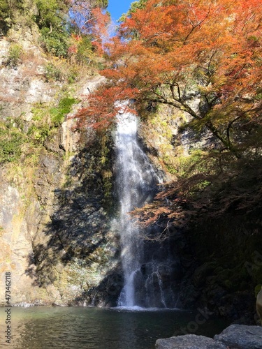 日本の自然、日本の食べ物