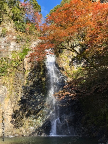 日本の自然、日本の食べ物