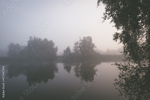 Mist over a lake with trees