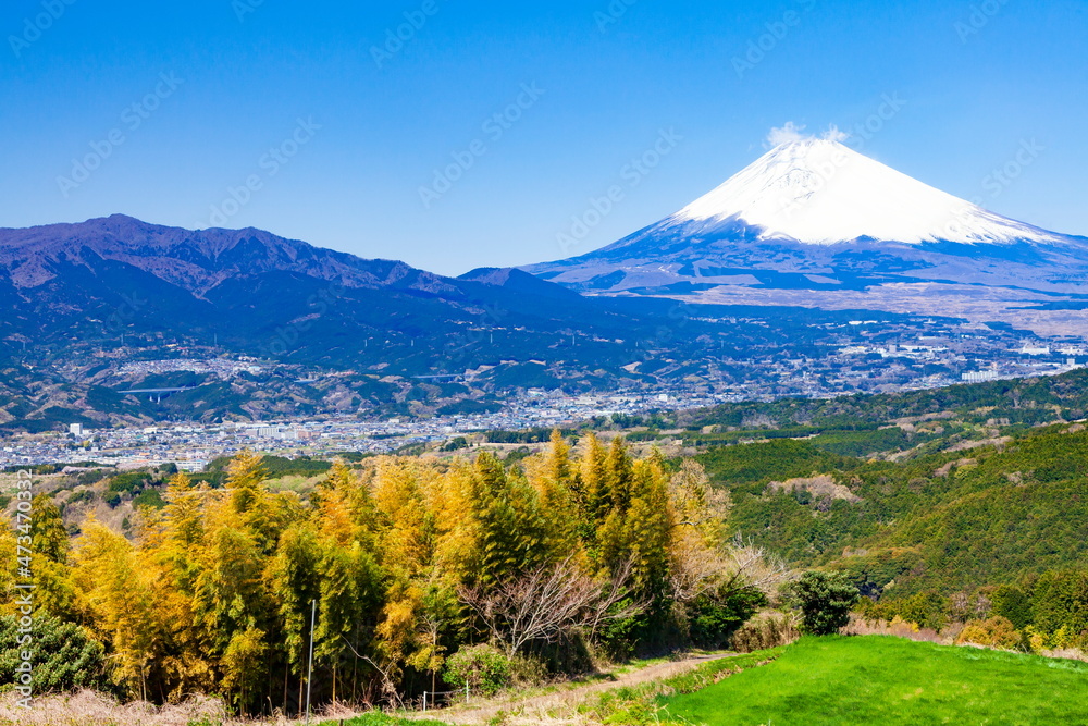 静岡県三島市佐野から眺める富士山