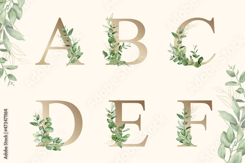 Watercolor floral alphabet set of a, b, c, d, e, f with hand drawn Foliage	
