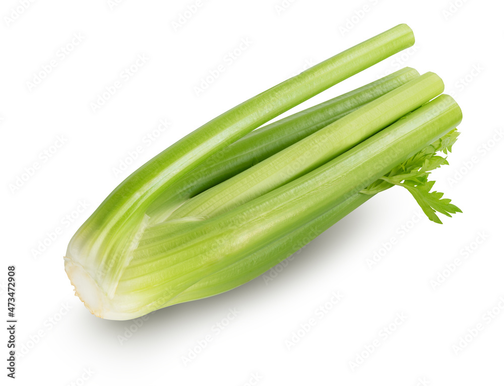 celery isolated on white background celery isolated on white background